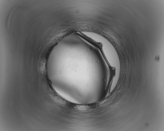 X0000090860417200708171609