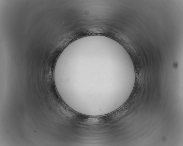 X0000090860418200708171609
