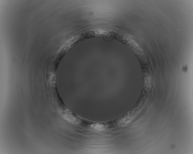 X0000090860419200708171609