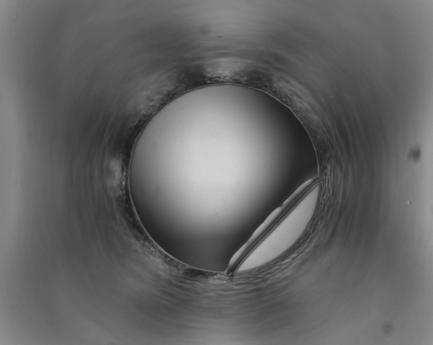 X0000090860420200708171609