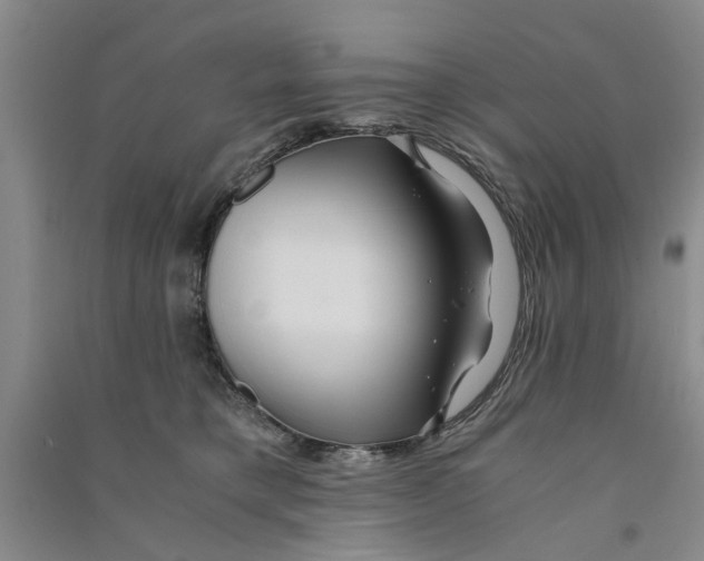 X0000090860421200708171609