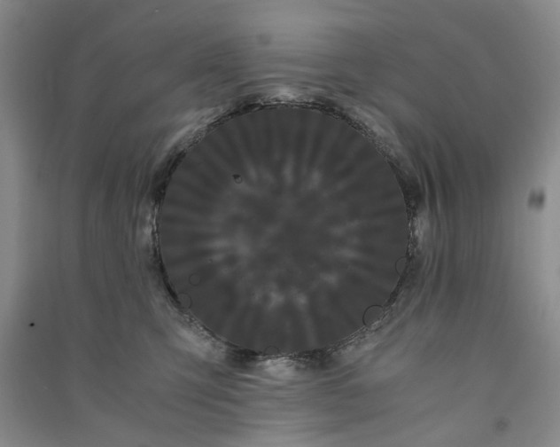 X0000090860423200708171609