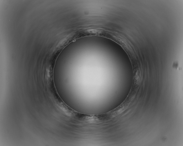 X0000090860424200708171609