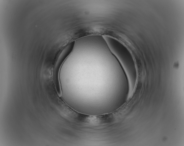 X0000090860425200708171609
