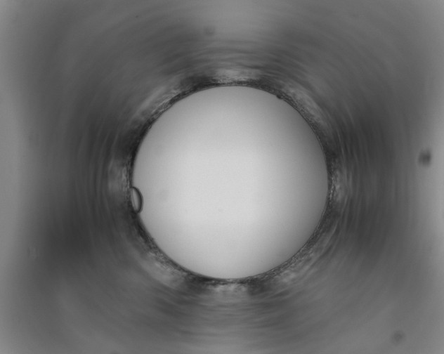 X0000090860426200708171609