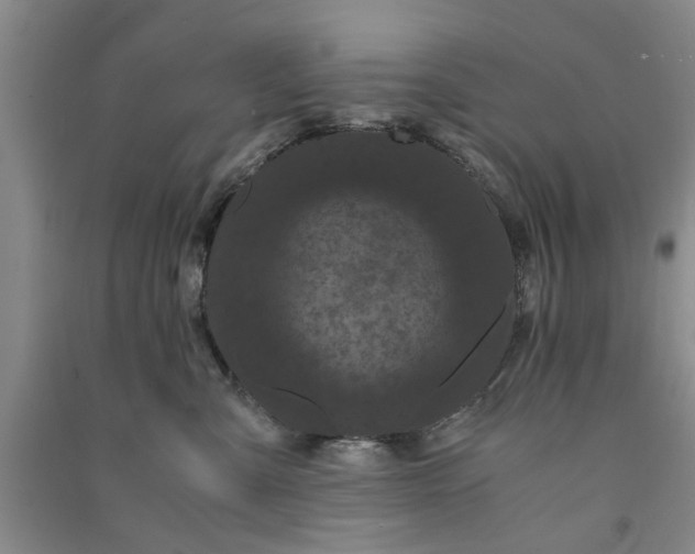X0000090860427200708171609