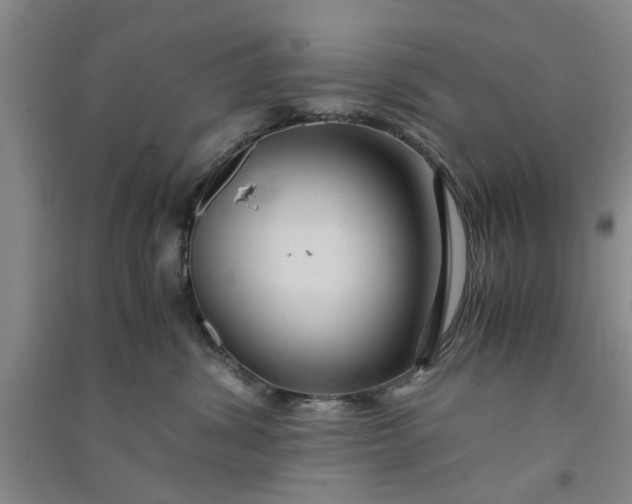 X0000090860428200708171609