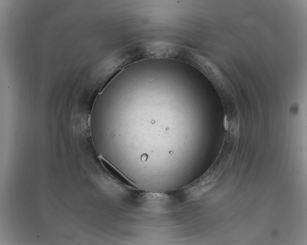 X0000090860429200708171609