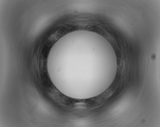 X0000090860430200708171609