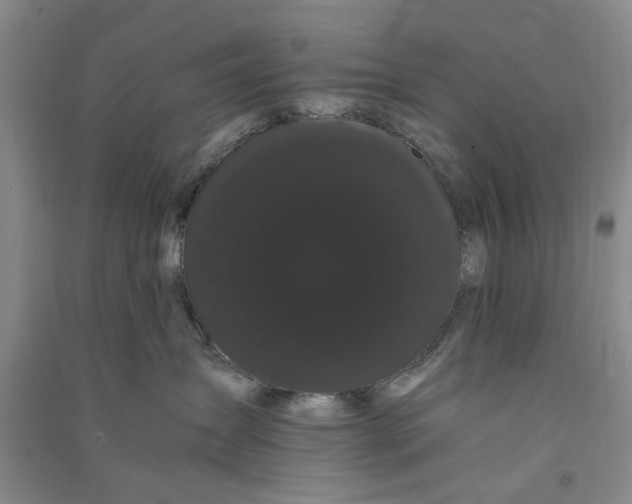 X0000090860431200708171609