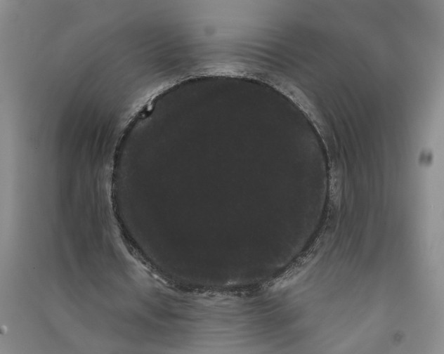 X0000090860434200708171608