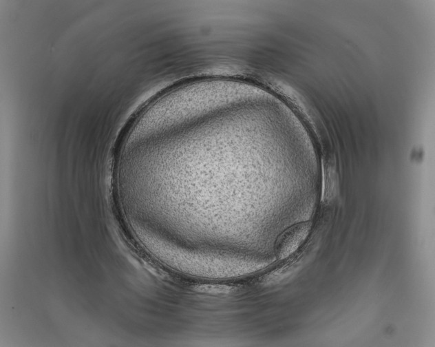 X0000090860435200708171608