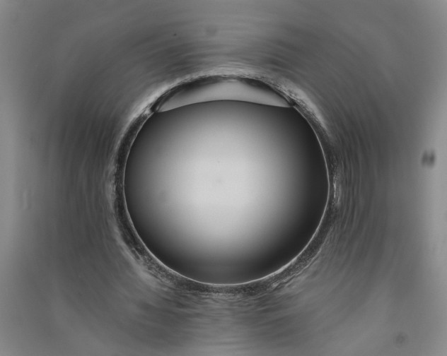 X0000090860436200708171608