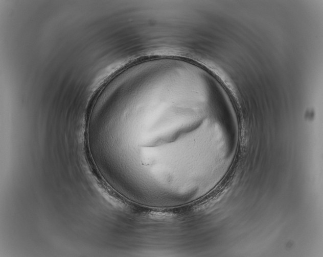X0000090860437200708171608
