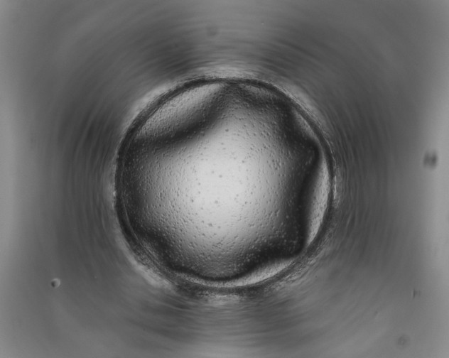 X0000090860438200708171608