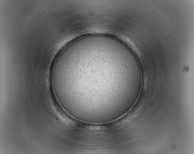 X0000090860439200708171608