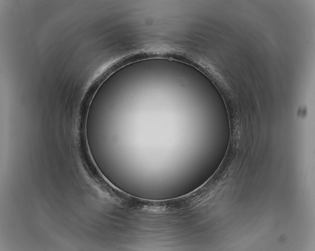 X0000090860440200708171608