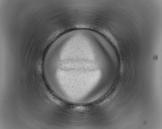X0000090860441200708171608