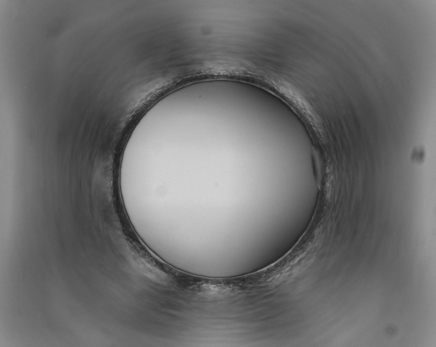 X0000090860442200708171608