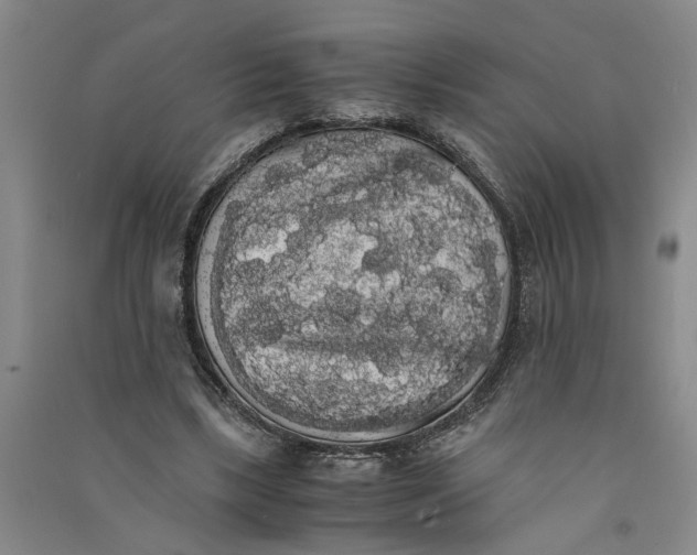 X0000090860443200708171608