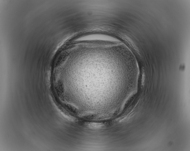 X0000090860444200708171608