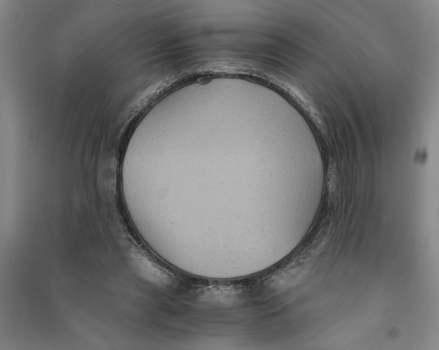 X0000090860445200708171608
