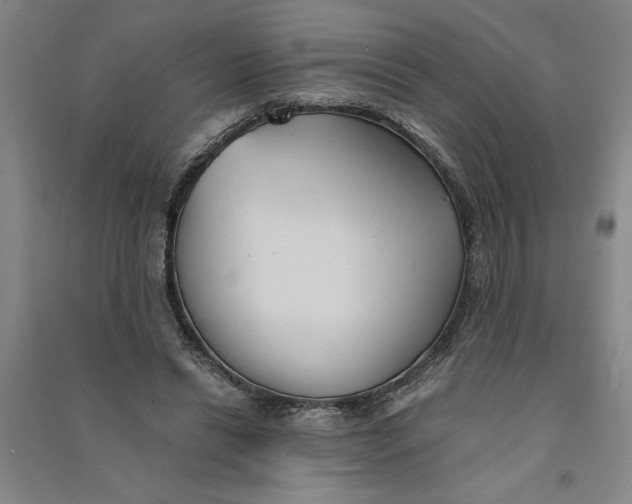 X0000090860446200708171608
