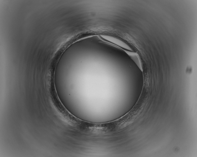 X0000090860448200708171608