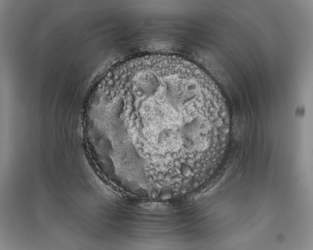 X0000090860449200708171608