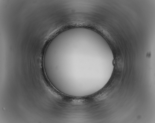 X0000090860450200708171608