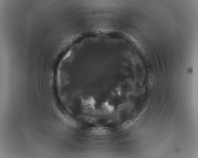 X0000090860451200708171608