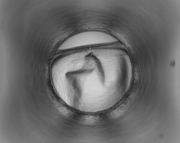 X0000090860453200708171608