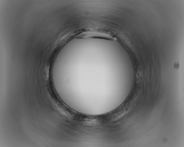X0000090860454200708171608