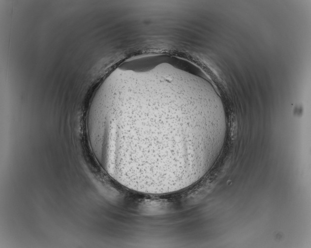 X0000090860455200708171608