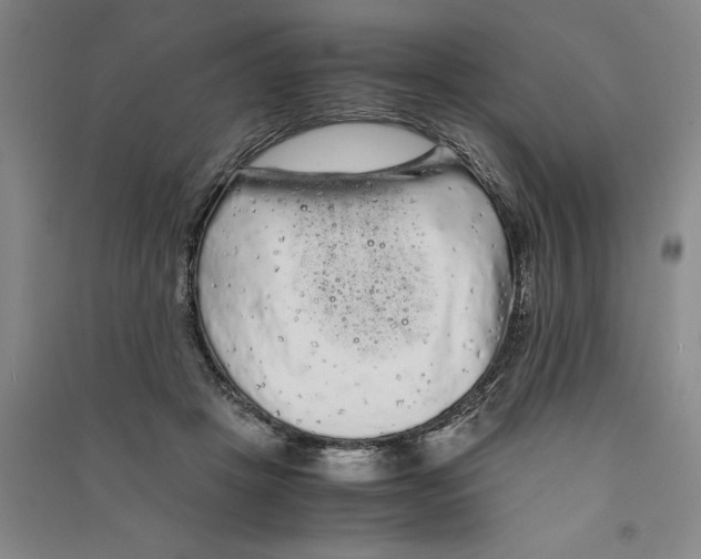 X0000090860457200708171608