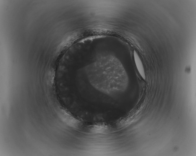 X0000090860458200708171608
