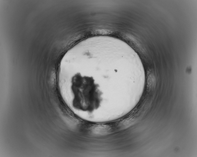 X0000090860459200708171608