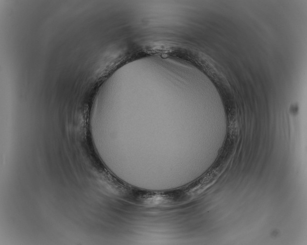 X0000090860460200708171608