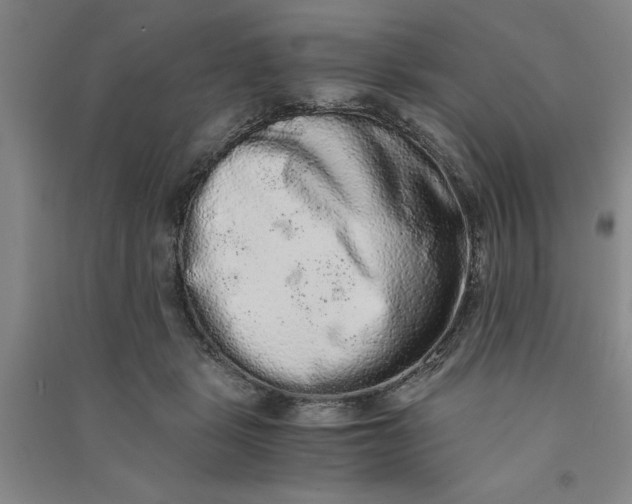 X0000090860461200708171608
