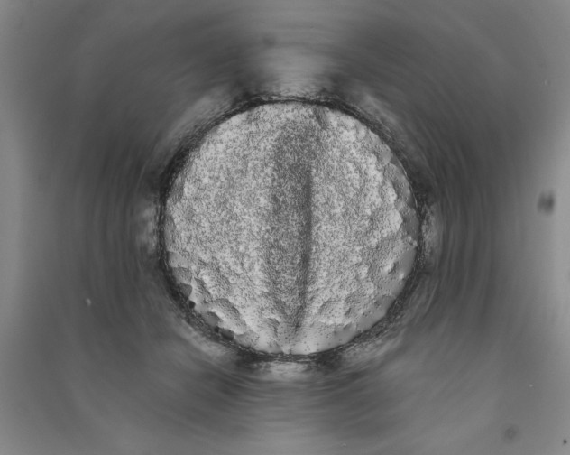 X0000090860462200708171608