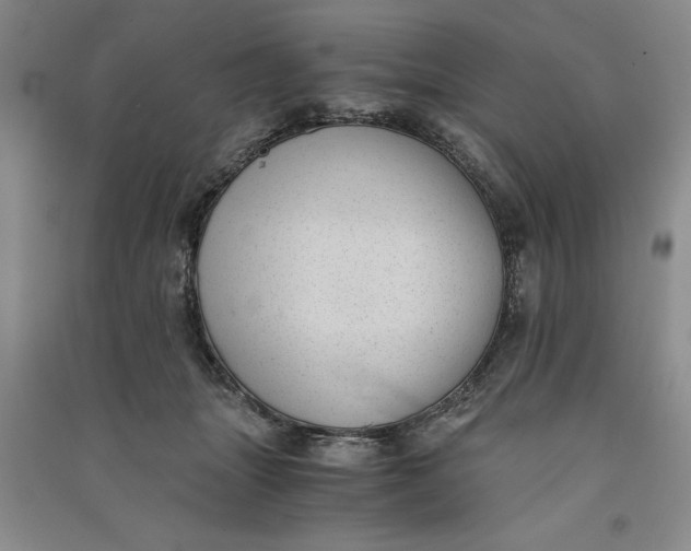 X0000090860463200708171608