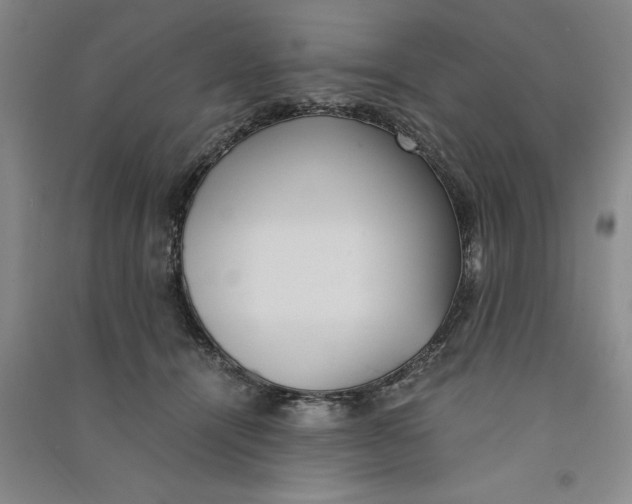 X0000090860464200708171609