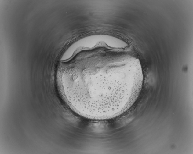 X0000090860466200708171609