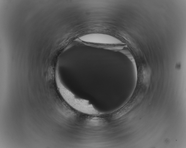 X0000090860467200708171609
