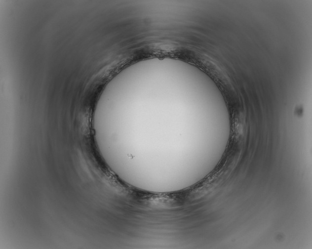 X0000090860468200708171609