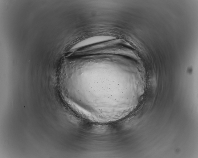 X0000090860469200708171609