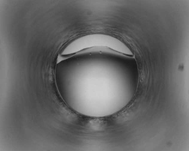 X0000090860470200708171609
