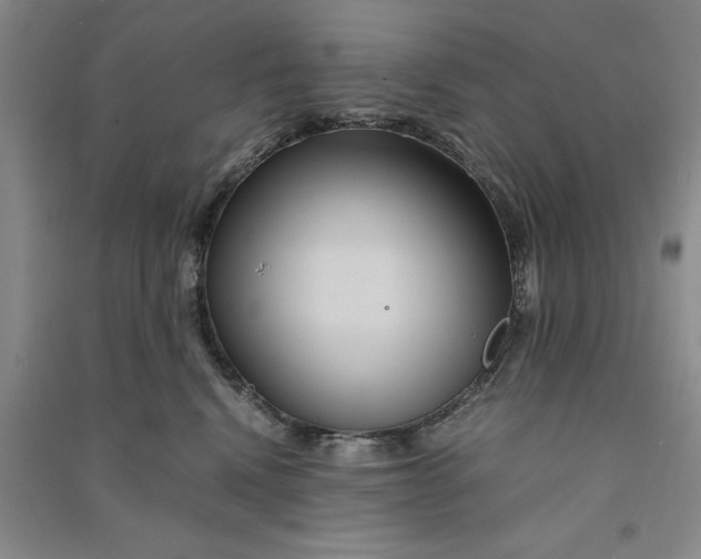 X0000090860472200708171609