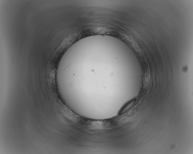 X0000090860473200708171609