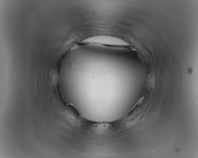 X0000090860474200708171609